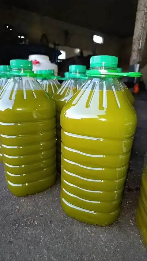 زيت زيتون طبيعي - الصورة 2